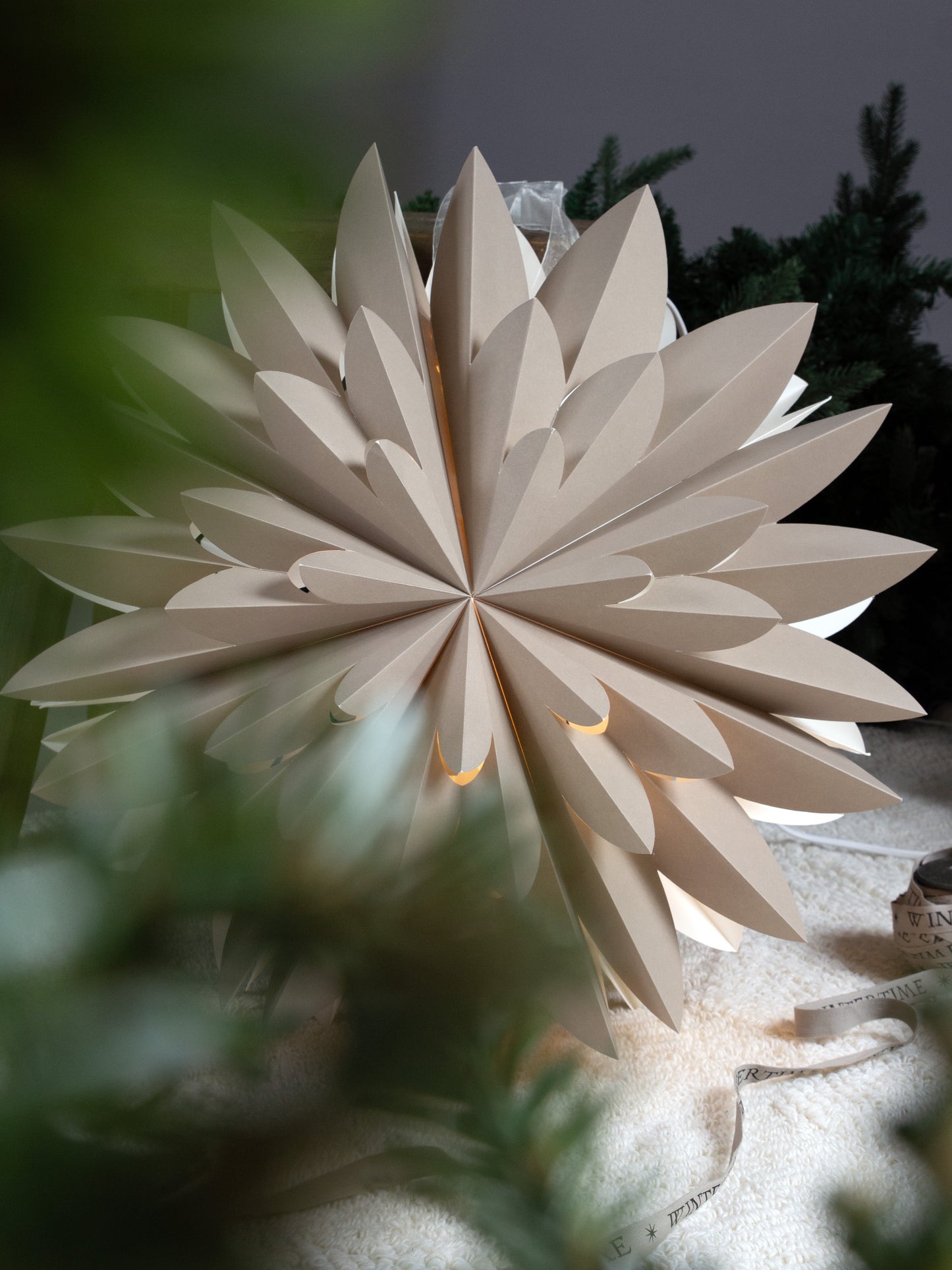 Julstjärna Hyacint Beige