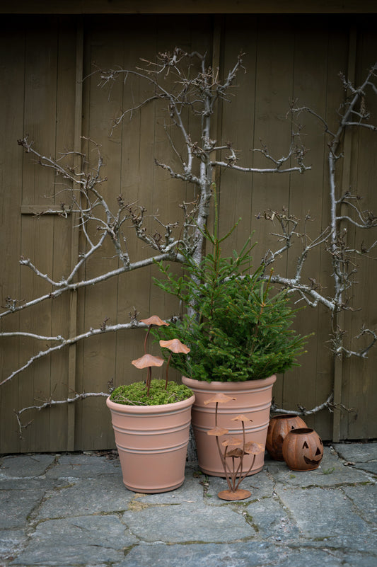 Ljuslykta Pumpa 2-pack