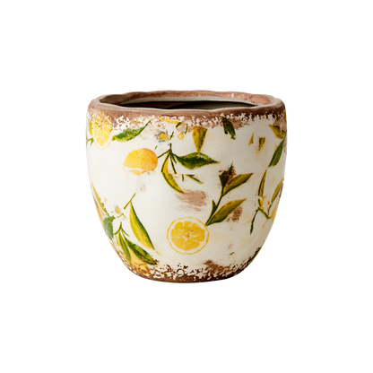 Kruka Lemona