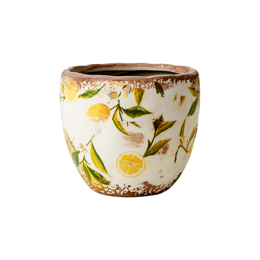 Kruka Lemona