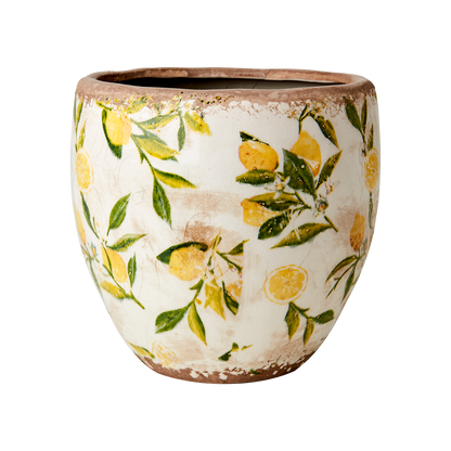 Kruka Lemona