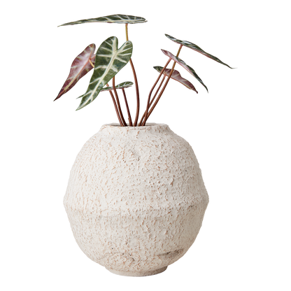 Kruka Cream