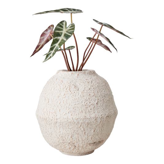 Kruka Cream