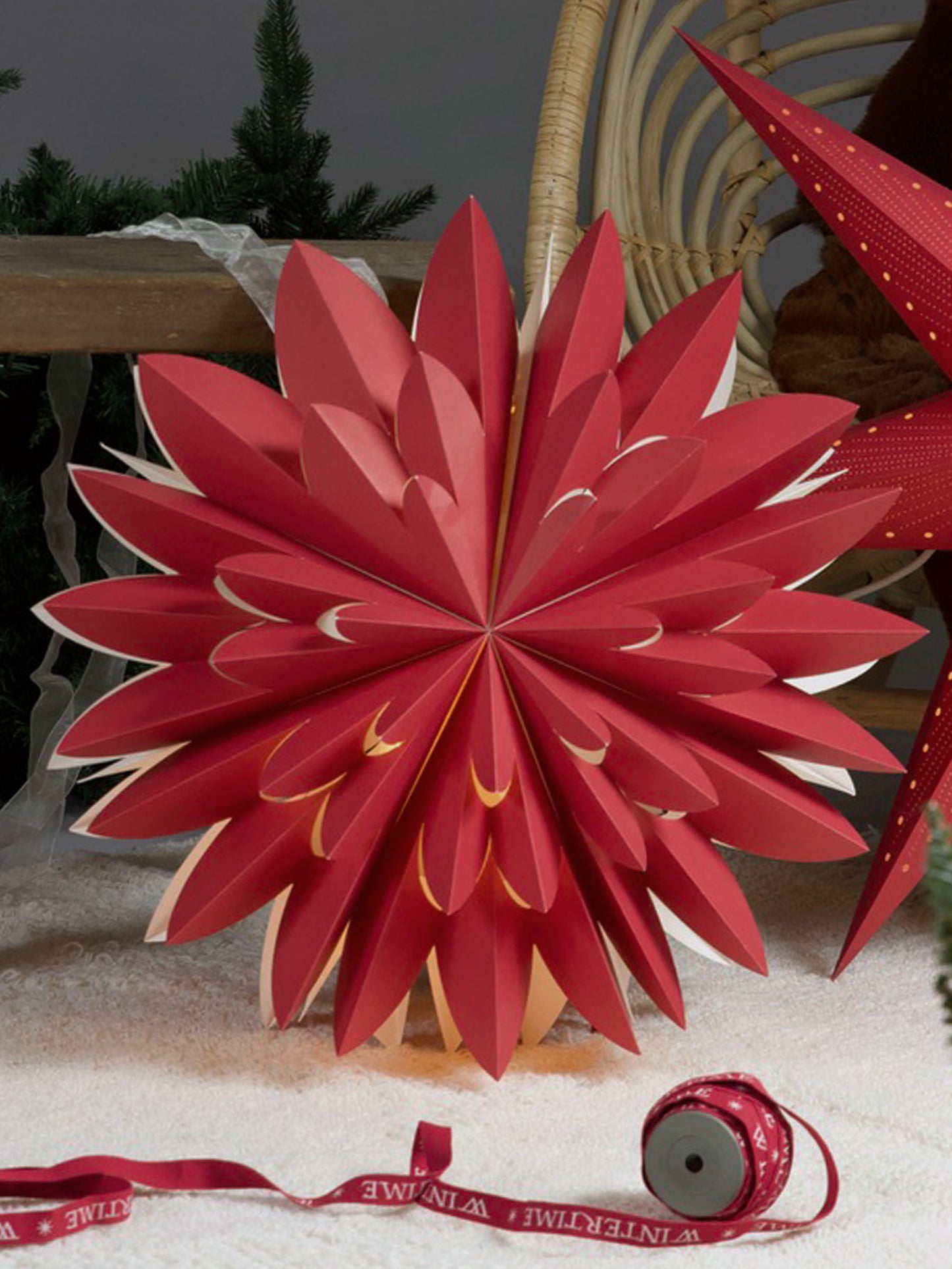 Julstjärna Hyacint Röd