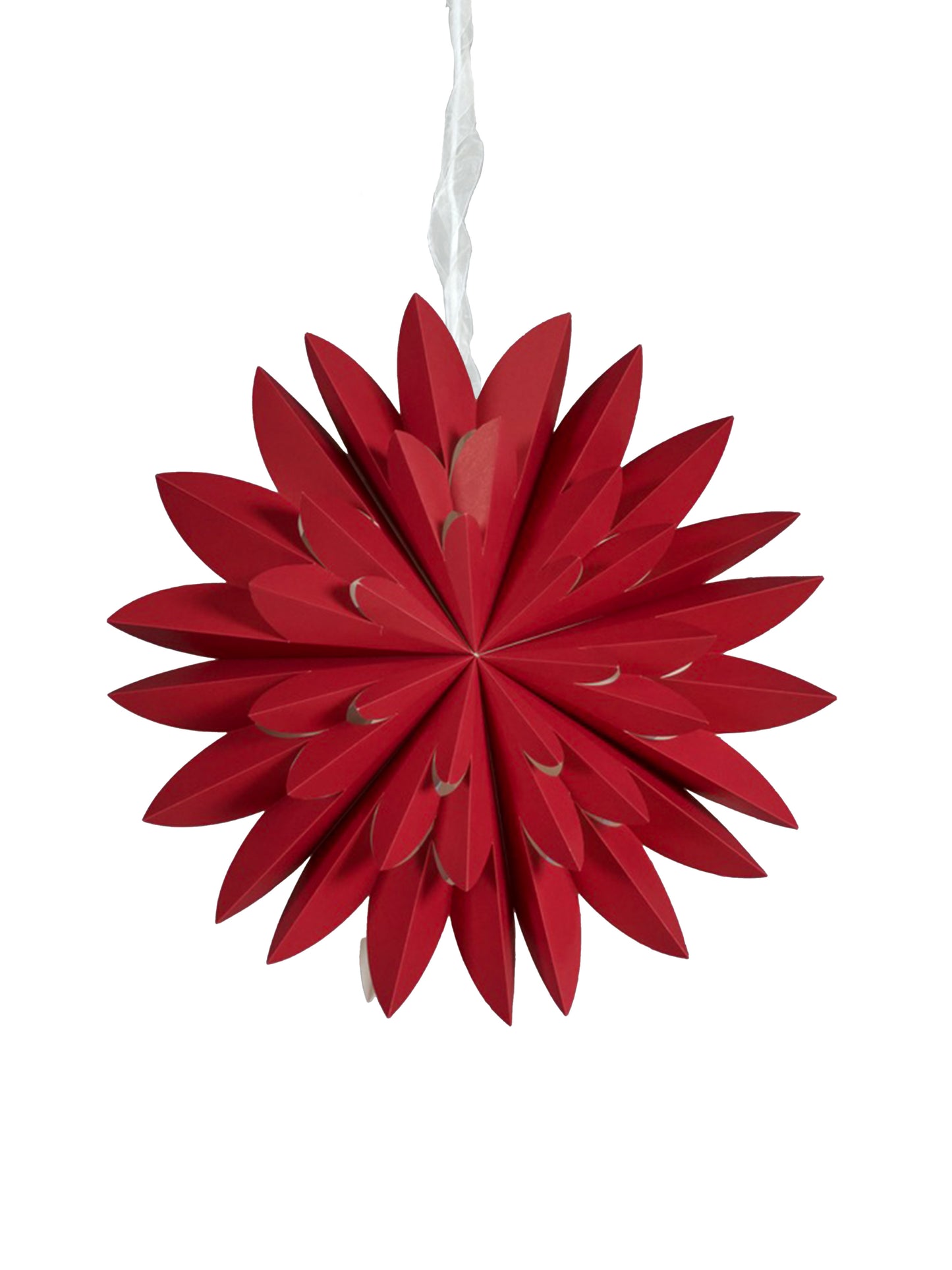 Julstjärna Hyacint Röd