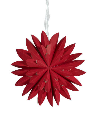 Julstjärna Hyacint Röd