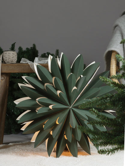 Julstjärna Hyacint Grön