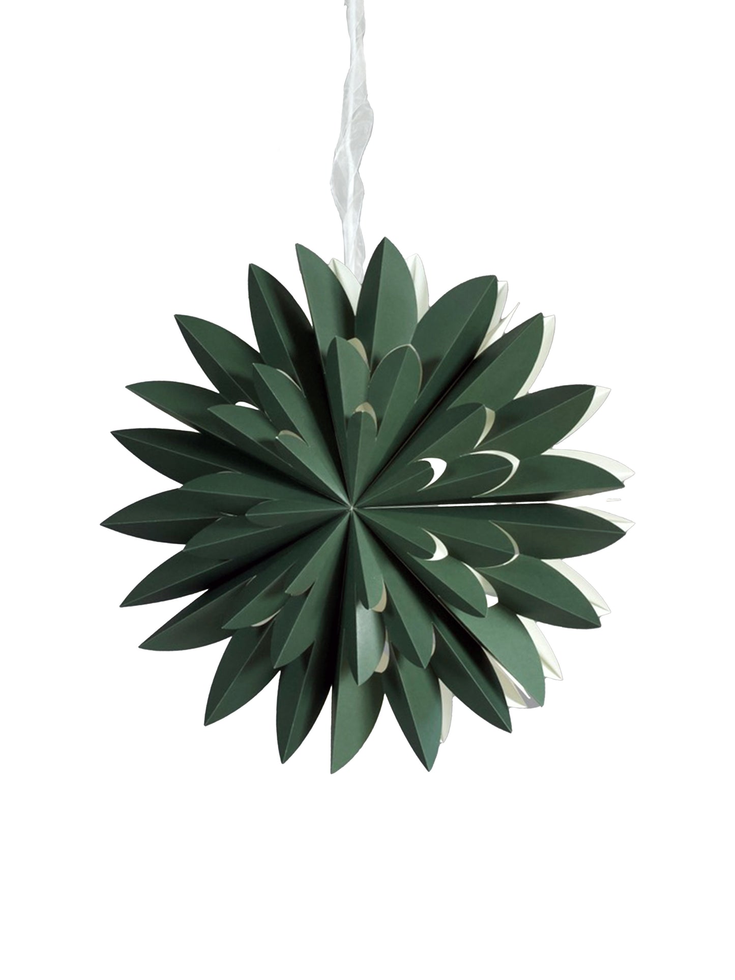 Julstjärna Hyacint Grön