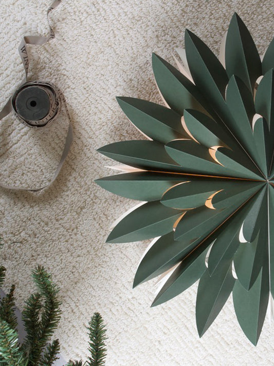 Julstjärna Hyacint Grön