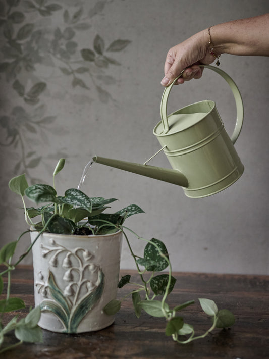 Vattenkanna Alina 1,8 L