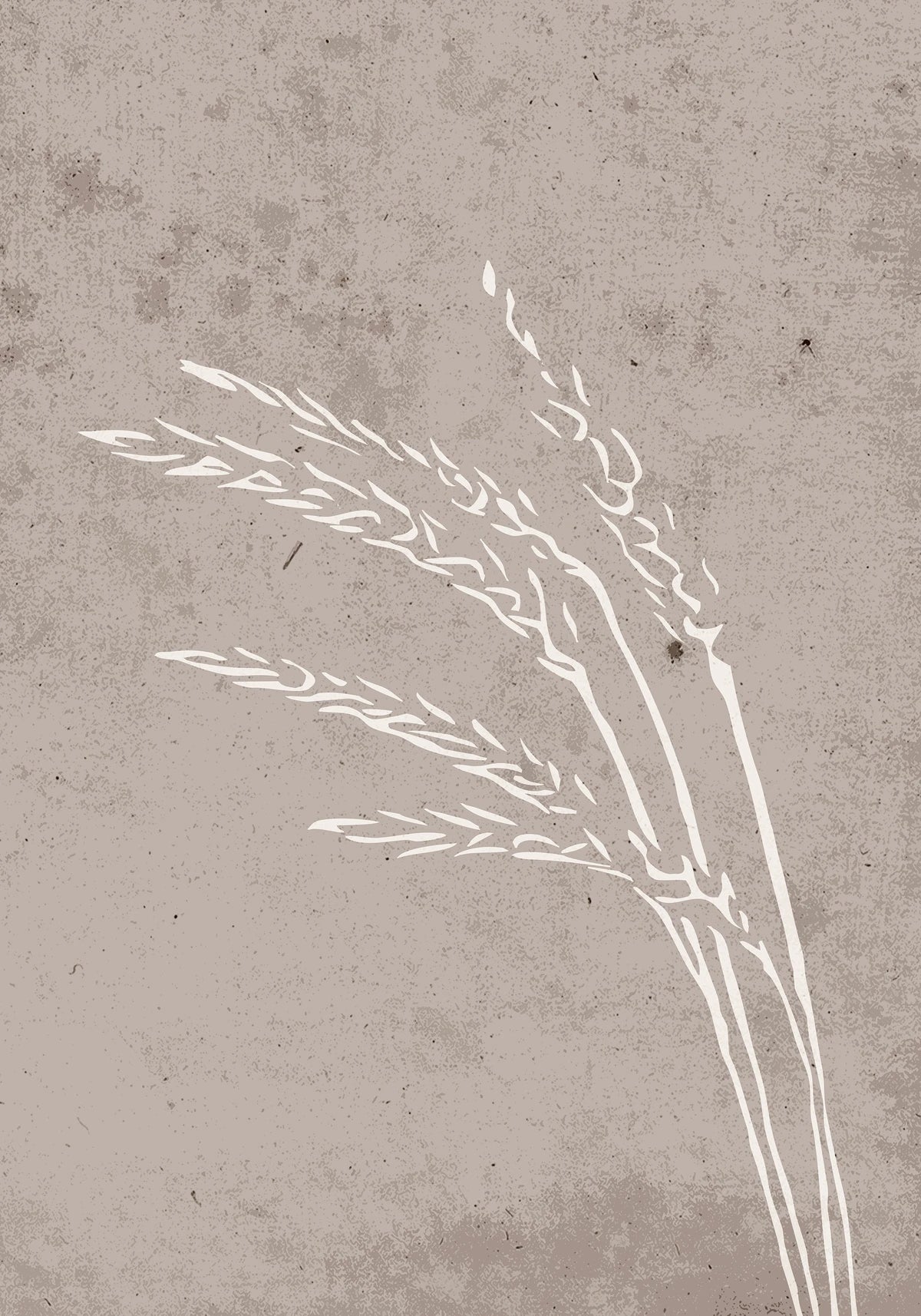 Poster Seeds