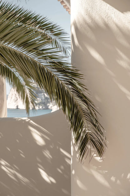 Poster Palmleaf