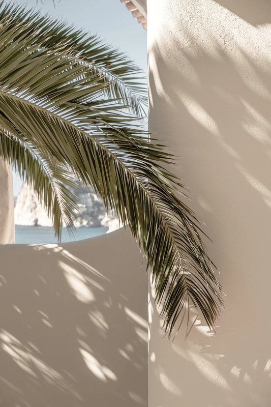 Poster Palmleaf
